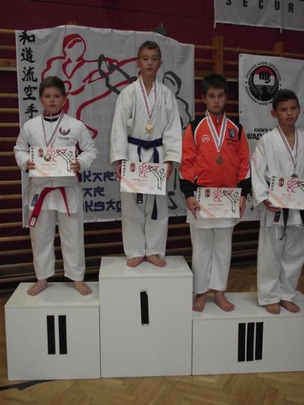 WadoKarate Bagyar Bajnokság 2013